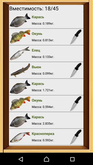 Скриншот 5/8