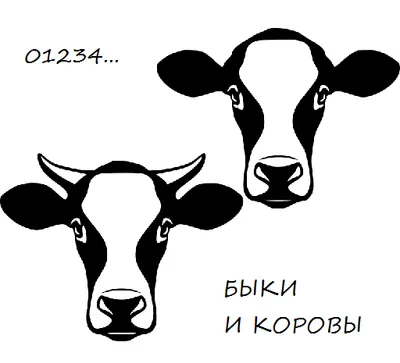 Быки и коровы