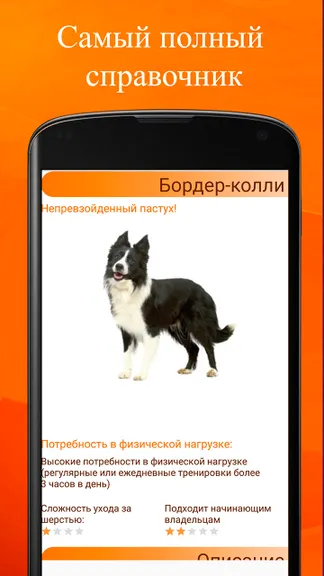 Скриншот 2/3