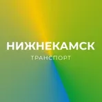 Нижнекамск транспорт  логотип