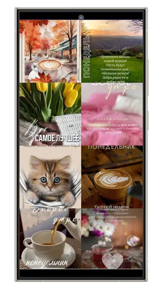 Скриншот 3/8
