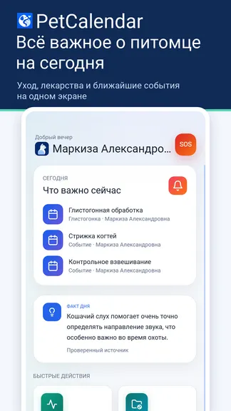 Скриншот 1/4