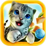 CatSimulator логотип