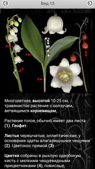 Скриншот 4/8