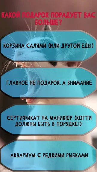 Скриншот 3/3