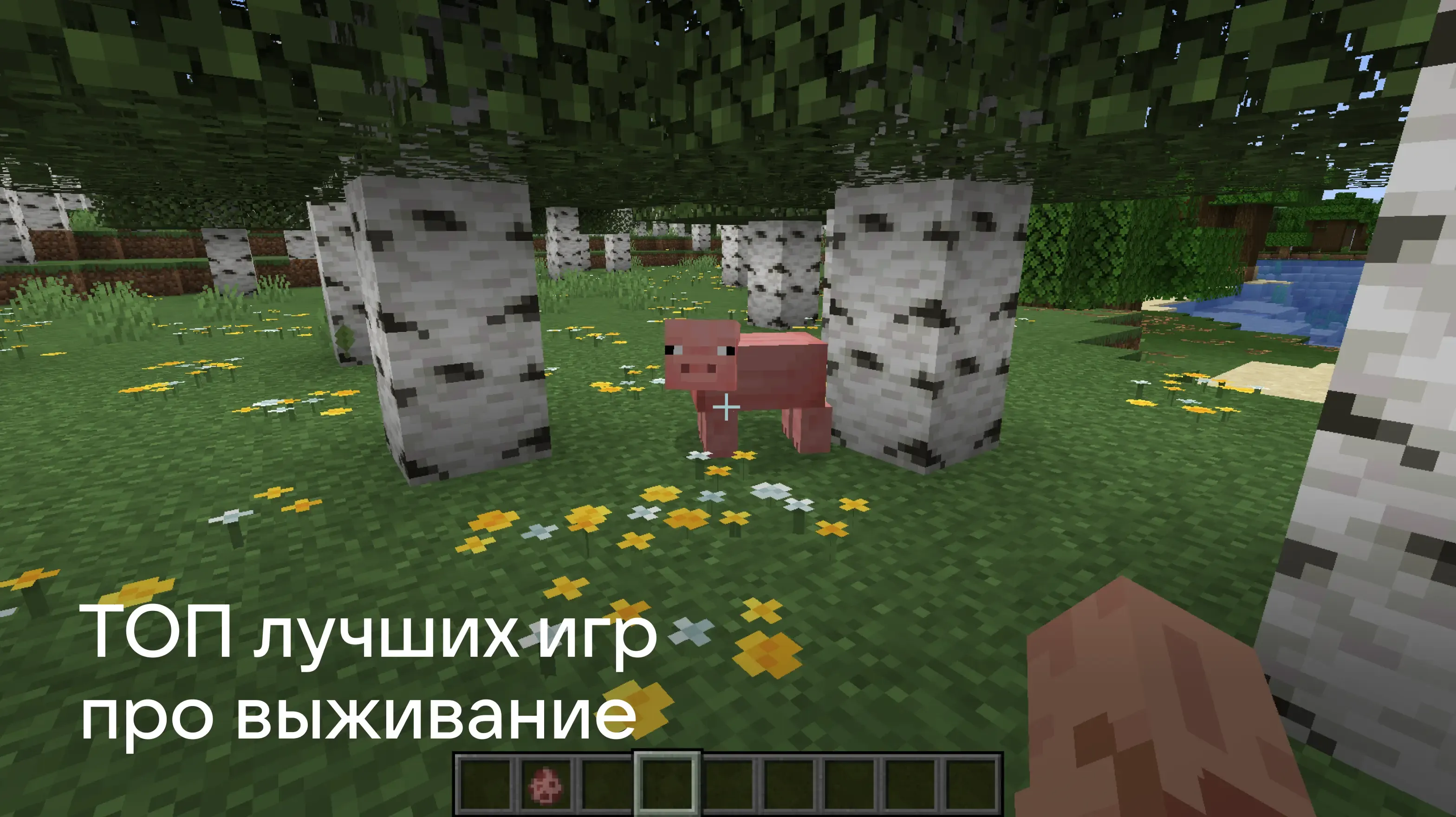 00_ТОП лучших игр про выживание V2