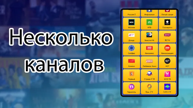Скриншот 3/3