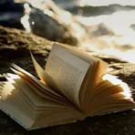 Book  Shelf логотип