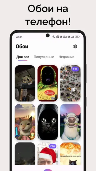 Скриншот 5/5