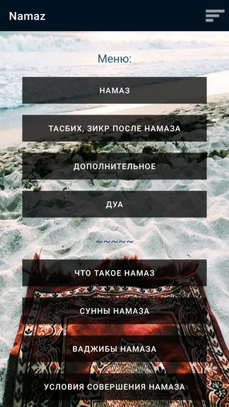 Скриншот 1/3