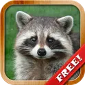 Животные для Малышей - обучающие игры для детей 3+ логотип