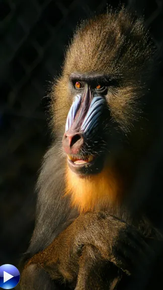 Скриншот 5/6