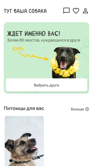 Скриншот 1/5