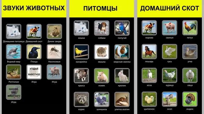 Скриншот 1/3