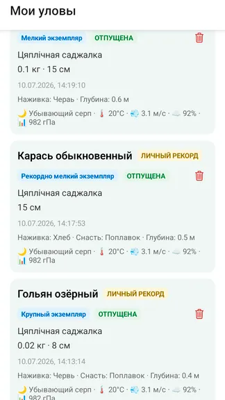Скриншот 2/4