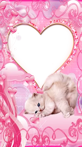 Скриншот 3/4