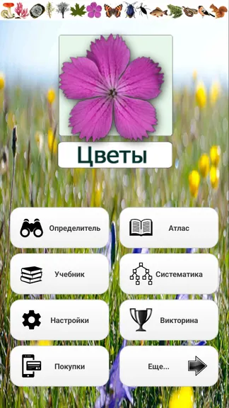 Скриншот 1/8