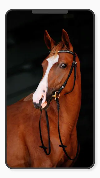 Скриншот 3/10