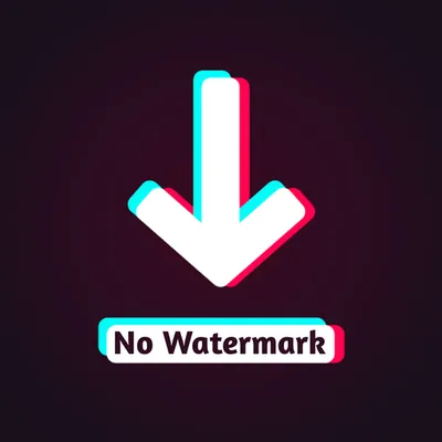 Video Downloader for Tiktok - Without watermark