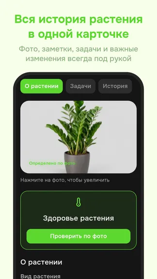 Скриншот 6/6