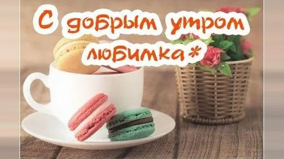 Скриншот 2/7