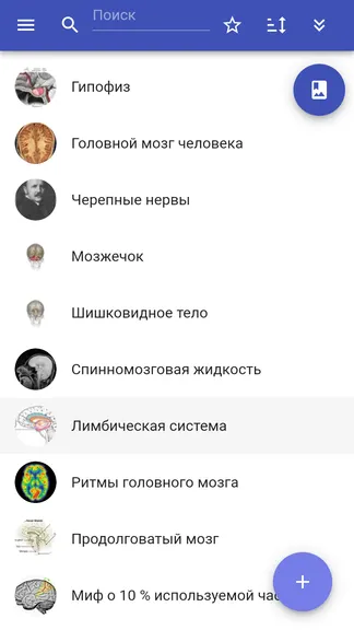 Скриншот 3/6