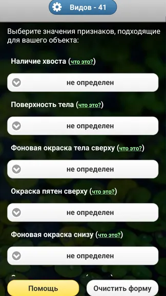 Скриншот 3/8