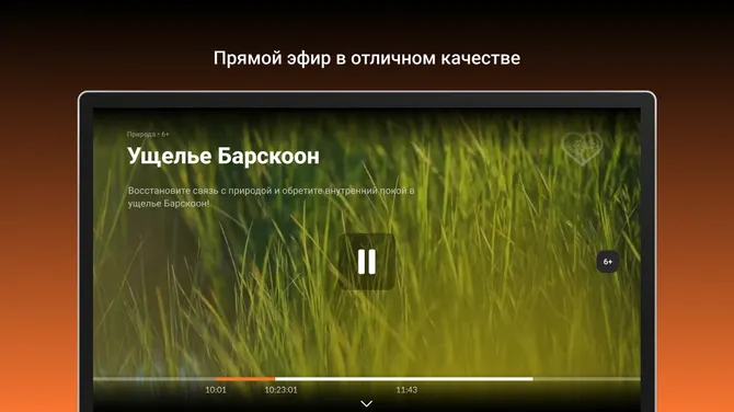 Скриншот 2/5