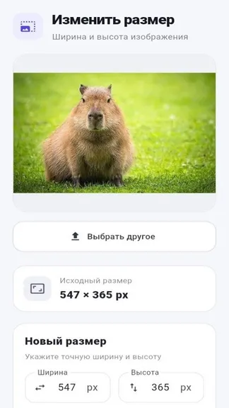 Скриншот 1/4