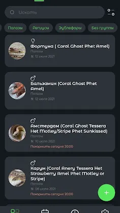 Скриншот 1/2