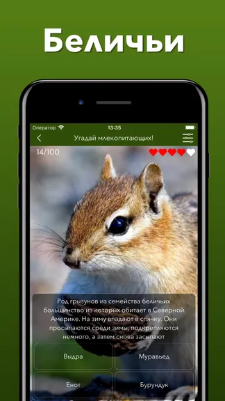 Скриншот 7/10