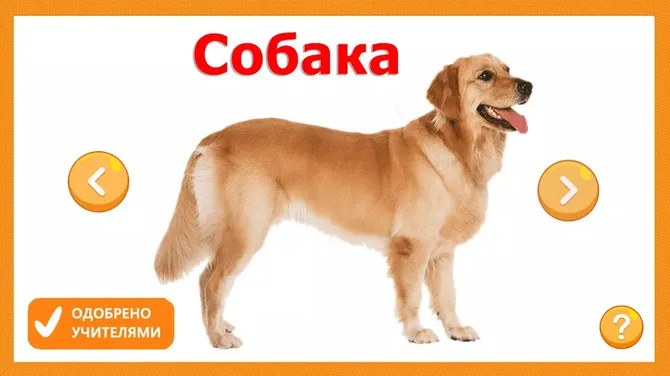 Скриншот 2/4