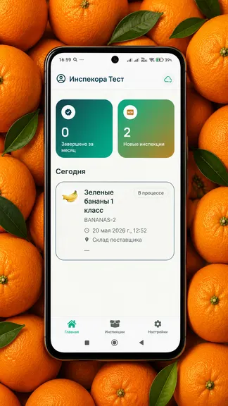 Скриншот 1/5