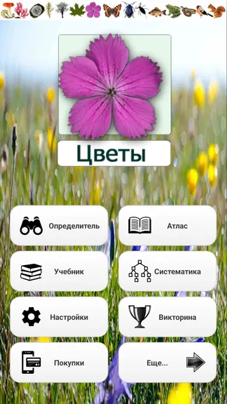 Скриншот 1/8