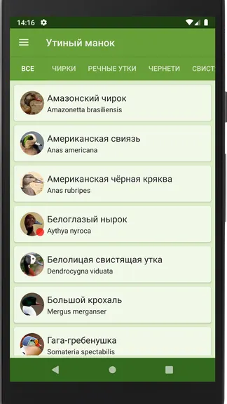 Скриншот 2/4