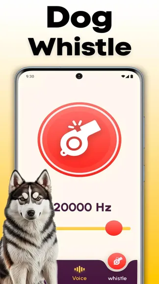 Скриншот 4/4