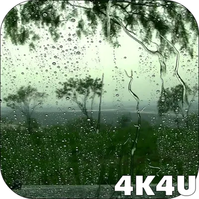 4K Rain Drops on Window Live Wallpapers