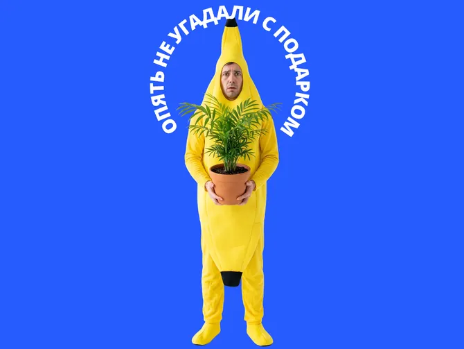 Обложка события МайВиш: вишлист и общение