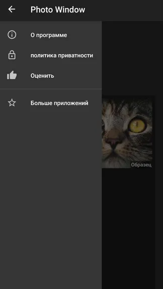 Скриншот 5/7