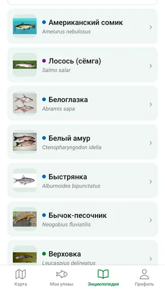 Скриншот 3/4