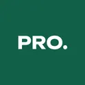 Domplus Pro логотип