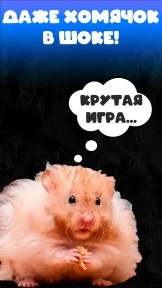 Скриншот 2/6