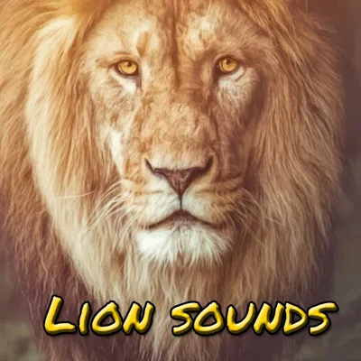 Lion sound effects