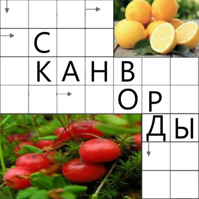 Сканворды