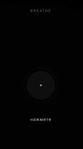 Скриншот 1/1