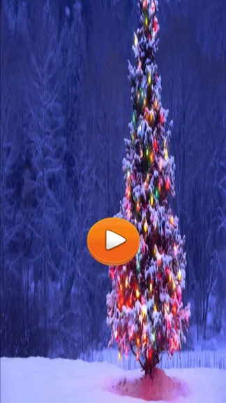 Скриншот 1/4