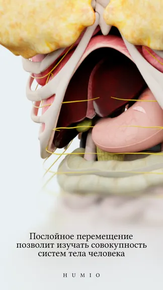 Скриншот 4/6