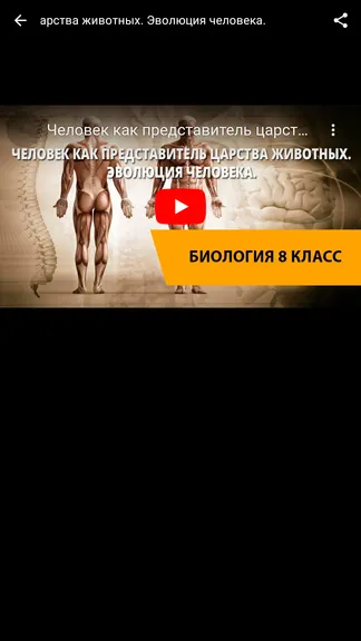 Скриншот 7/7