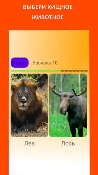 Скриншот 2/6