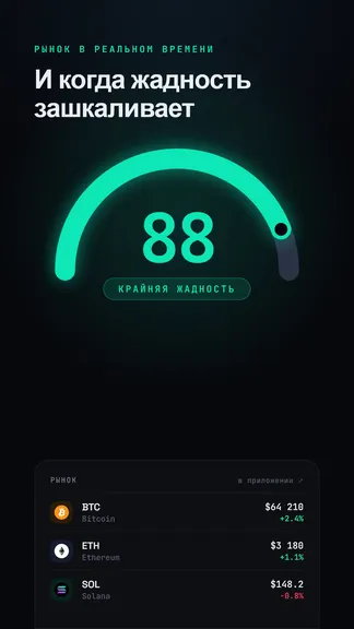 Скриншот 5/8